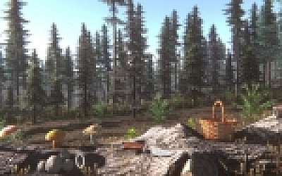 蘑菇挑战赛/Mushroom Challenge