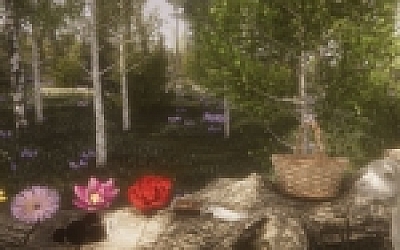 采花挑战赛/Flower Challenge