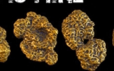 金子是我的/GOLD IS MINE