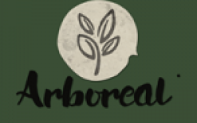 速降王者/Descenders(网络联机版)