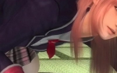 死或生5:最后一战/DEAD OR ALIVE 5 Last Round