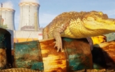 食人鲨(Maneater) ver22.10.15 豪华中文版 开放世界动作角色扮演游戏