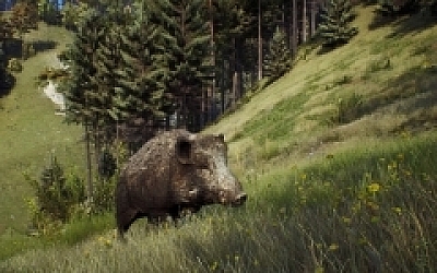 猎人之路/Way of the Hunter(更新v1.25.0HF)