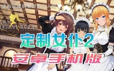 【COM3D2全中文版本】3D定制女仆2安卓手机版