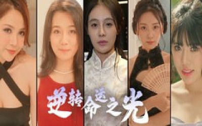 逆转命运之光|官方中文|Build.18516905+全DLC|解压即撸|