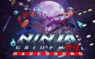 忍者外传 怒之羁绊|豪华中文|Build.19495377-破界之誓-烈魂双刃+全DLC-支持手柄解压即撸|