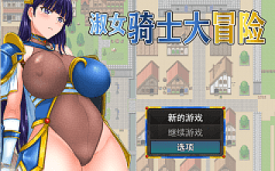 【日式RPG】淑女骑士大冒险 Steam官方中文步兵版